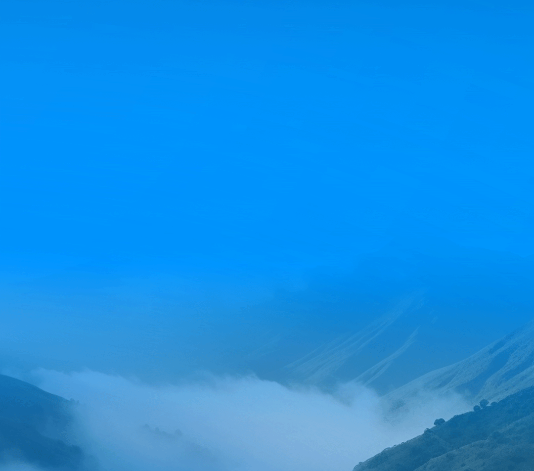 3月28日，百乐博有一个重大决定